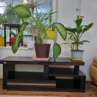 زیر تلویزین ترک در حد نو