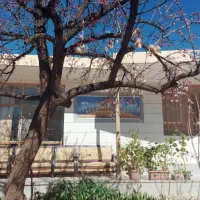 سوئیت اجاره ای