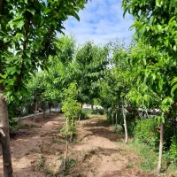 باغ ویلا مسکونی|فروش خانه و ویلا|مشهد, ابرغن|دیوار