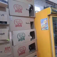 واگذاری سوپرمارکت|فروشگاه و مغازه|سیرجان, |دیوار