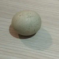 سنگ الماس آسیاب