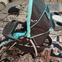 کالسکه|کالسکه و لوازم جانبی|لردگان, |دیوار