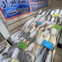 یخچال ماهی فروشی کفی شیب دار