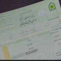 گمشده سند ماشین برگ سبز