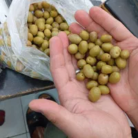 زیتون جنگلی|خوردنی و آشامیدنی|اهواز, کوی مهدیس|دیوار