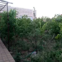 اجاره-خانه-باغ-مهریز
