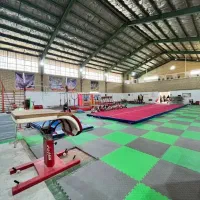 استعدادیابی ژیمناستیک