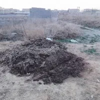 کود خالص مرغی|گل و گیاه طبیعی|مشهد, سیس‌آباد|دیوار