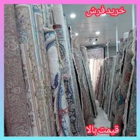 فروش و خریدار فرش تراکم بالا و پایین سمساری هم جور|فرش|پرند, فاز ۲|دیوار