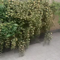 120-متری-بلوارشفق-تک-واحدی-2خواب