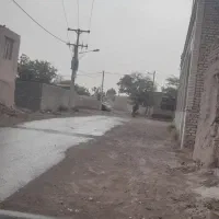 استخدام راننده