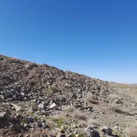 فروش زمین ۵۹۰ متری در روستای زواریان|فروش زمین و ملک کلنگی|قم, قلعه یزدیها|دیوار