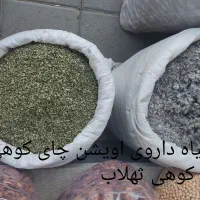 گیاهان دارویی