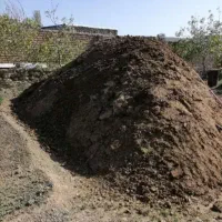 کارهای باغبانی وجدول محوطه سازی