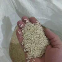 برنج عنبربو سیروان لرینی کیلو 300