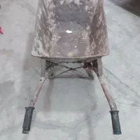 یک عدد فرقون سالم