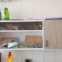 اجاره مغازه حدود38مترچهارراه مقدم طبرسی|اجارهٔ مغازه و غرفه|مشهد, جوادیه|دیوار
