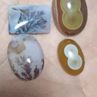 شجر قائنات بابا قوری