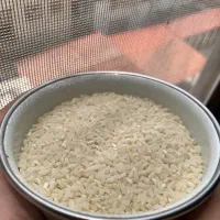 برنج نیمدانه هاشمی