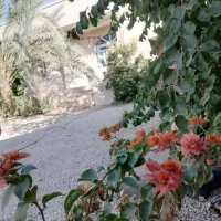 منزل مبله لوکس آبپخش (جهت مسافر )|اجارهٔ کوتاه‌مدت آپارتمان و سوئیت|آبپخش, |دیوار