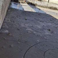 بیل مکانیکی ایزی