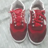 کفش فوتسال شماره ۴۳ به ۴۲ میخوره|کیف، کفش، کمربند|دورود, |دیوار