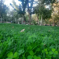 تخریب کار نیازمندیم
