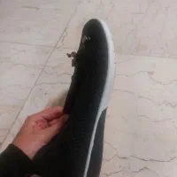 کفش در حد نو|کیف، کفش، کمربند|قم, خداکرم|دیوار