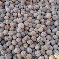 گرد.وی محلی کاغذ.ی پوست نازک