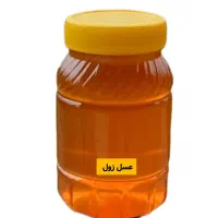 انواع روغن و خشکبار|خوردنی و آشامیدنی|کاشان, شهرک صنعتی راوند|دیوار