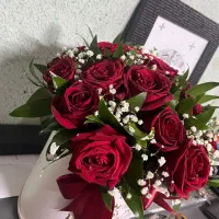 گل رز|گل و گیاه طبیعی|مشهد, آبکوه|دیوار