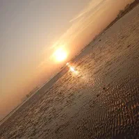 اجرای دیجی خانم