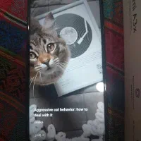 ردمی A3x|موبایل|رشت, سلیمانداراب|دیوار