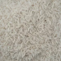 برنج طارم فجر|خوردنی و آشامیدنی|گرگان, |دیوار