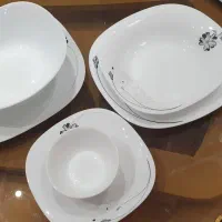 ظروف پذیرایی