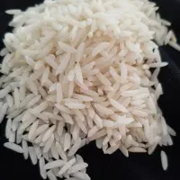 برنج اعلای آستانه اشرفیه کشت ارگانیک