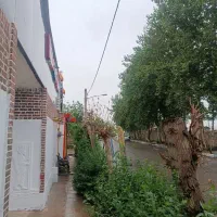 گلخانه طرح شیشه اجاره فیلستان|اجارهٔ دفتر صنعتی، کشاورزی، تجاری|پاکدشت, پاکدشت (مامازند)|دیوار