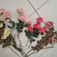 رزز|گل و گیاه طبیعی|اراک, |دیوار