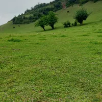 آلاچیق رایگان برا چادر زدن