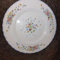 بشقاب پلو خوری لومینارک