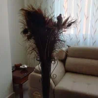 گلدان ایستاده با پر طاووس طبیعی|گل مصنوعی|سهند, |دیوار