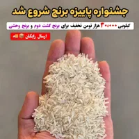 برنج اعیونی / وحشی/ دودی/ درجه یک|خوردنی و آشامیدنی|بوشهر, |دیوار
