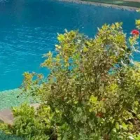 چقدر باغ