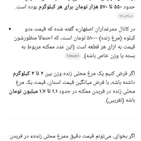 فروش فوری مرغ تخم گذار و خروس،