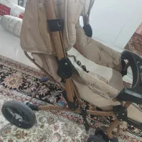 کالسکه دلیجان|کالسکه و لوازم جانبی|تهران, نعمت‌آباد|دیوار