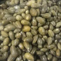 ترشی انبه ،قارچ|خوردنی و آشامیدنی|لنگرود, |دیوار