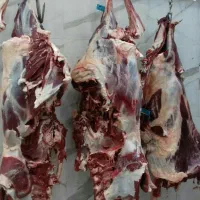 سلاخ حرفه ای قصاب|خدمات پذیرایی، مراسم|ملایر, |دیوار