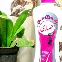 شامپو سبغ اصل و کاملا گیاهی