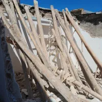 خرید چوب خشک|خدمات باغبانی و درختکاری|ارومیه, |دیوار