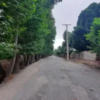 فروش-قطعات-باغی-از-هر-متراژ-کاسبی
